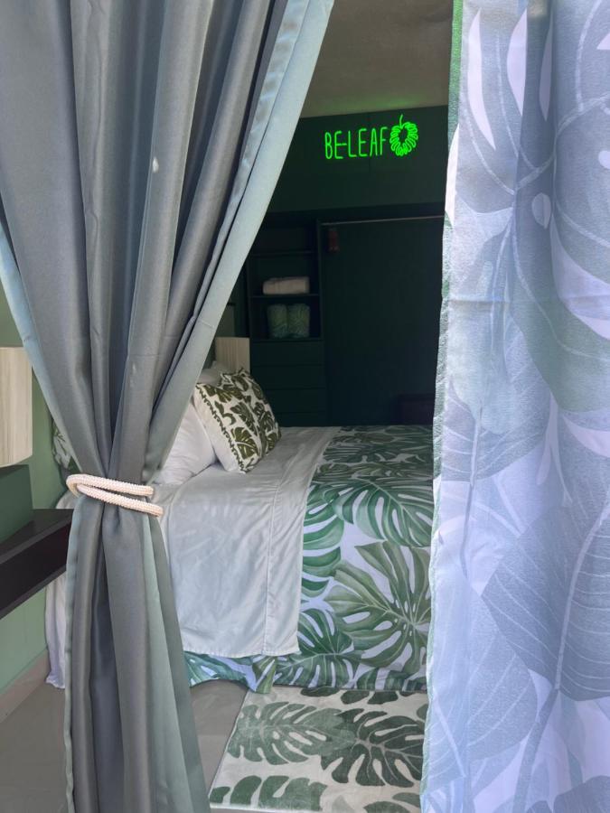 Bed and Breakfast Dici Co-Living Housing Cabo San Lucas Zewnętrze zdjęcie