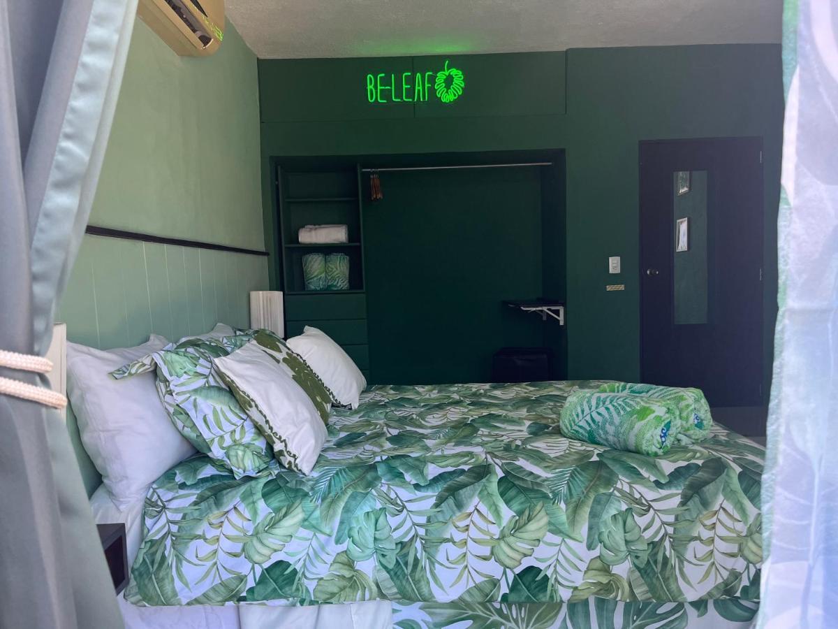 Bed and Breakfast Dici Co-Living Housing Cabo San Lucas Zewnętrze zdjęcie