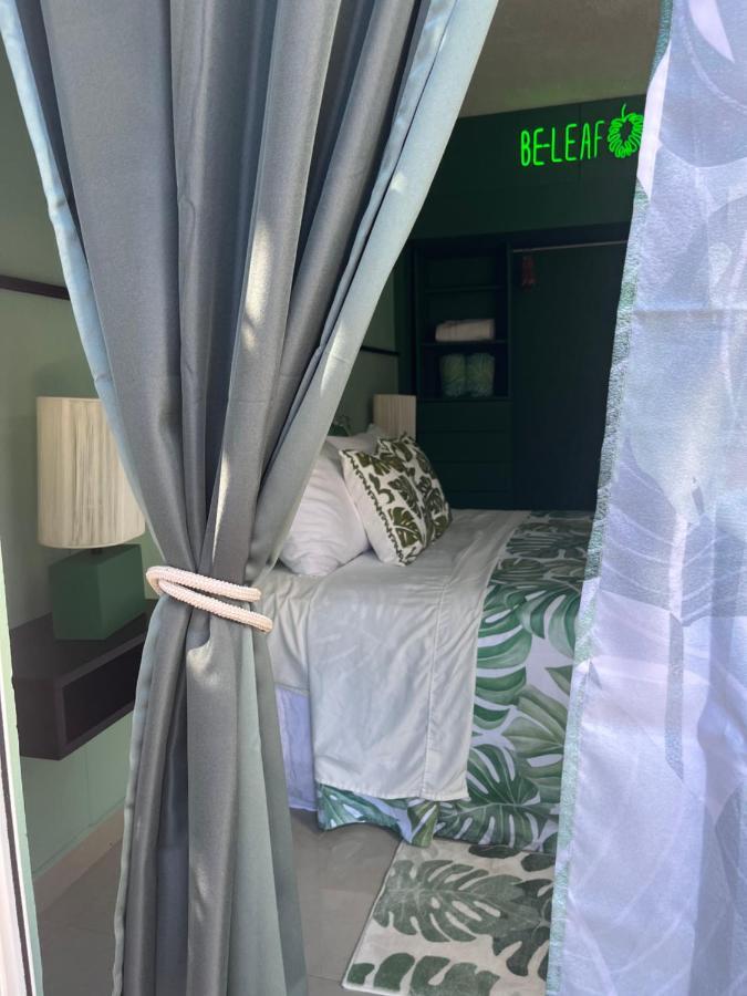 Bed and Breakfast Dici Co-Living Housing Cabo San Lucas Zewnętrze zdjęcie