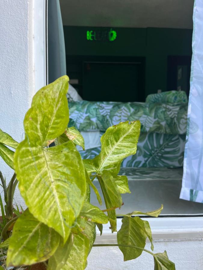 Bed and Breakfast Dici Co-Living Housing Cabo San Lucas Zewnętrze zdjęcie
