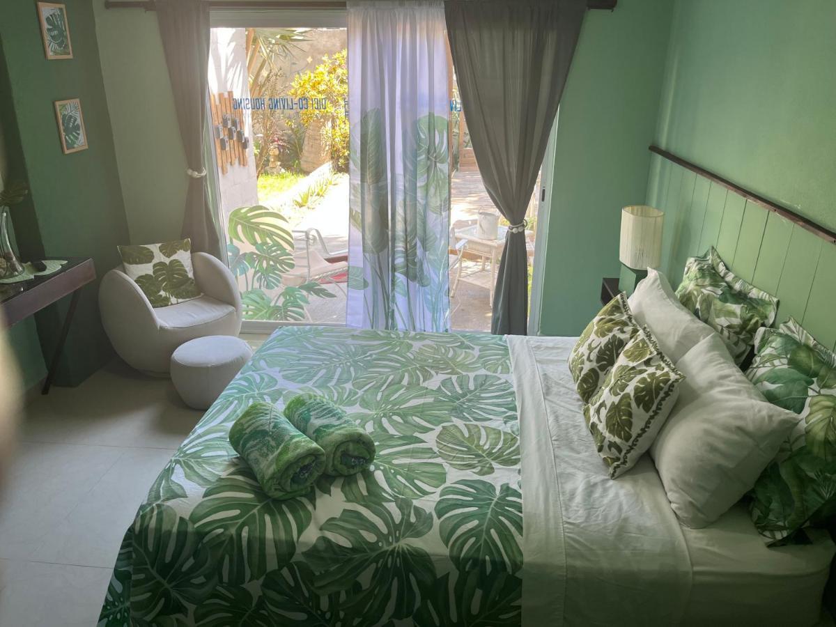 Bed and Breakfast Dici Co-Living Housing Cabo San Lucas Zewnętrze zdjęcie