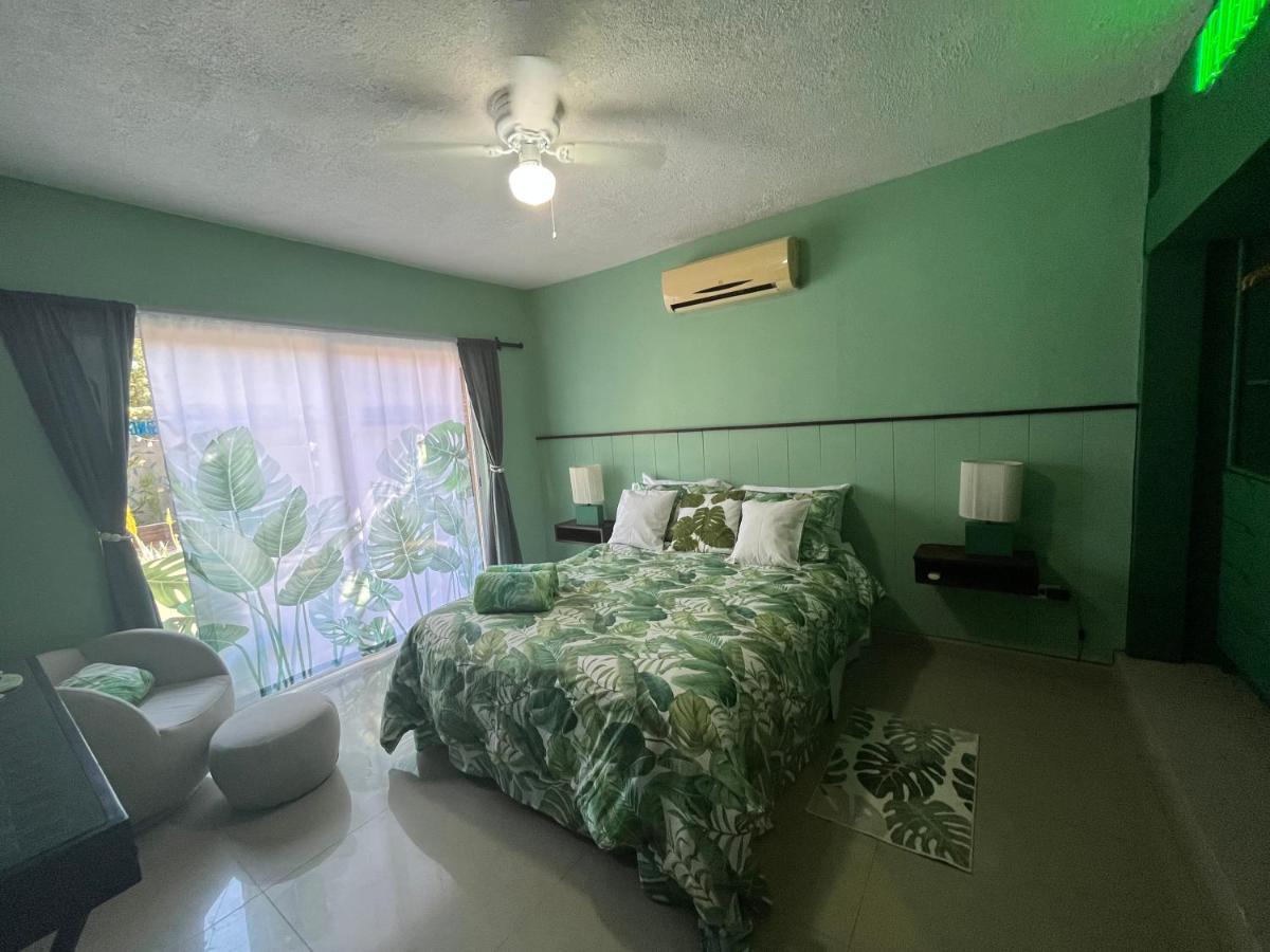 Bed and Breakfast Dici Co-Living Housing Cabo San Lucas Zewnętrze zdjęcie