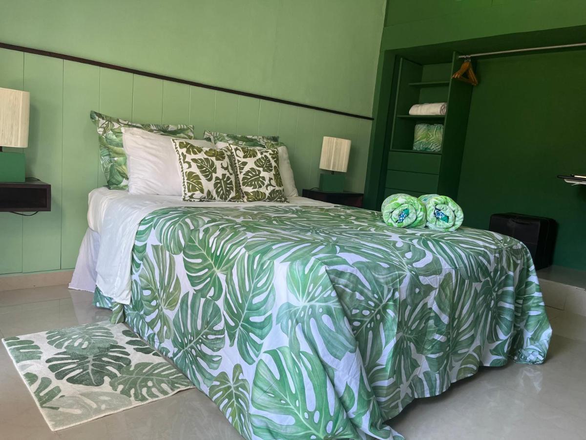 Bed and Breakfast Dici Co-Living Housing Cabo San Lucas Zewnętrze zdjęcie