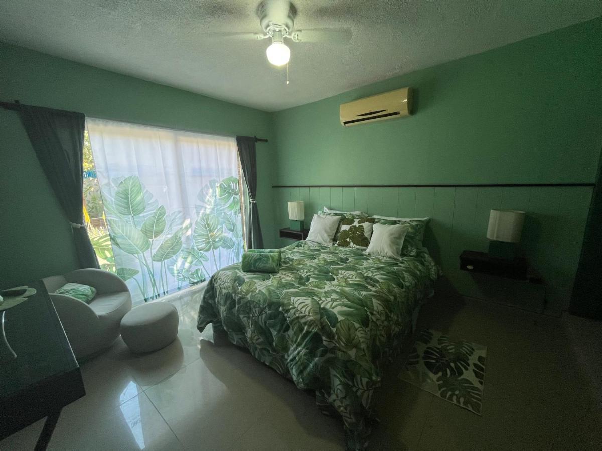 Bed and Breakfast Dici Co-Living Housing Cabo San Lucas Zewnętrze zdjęcie