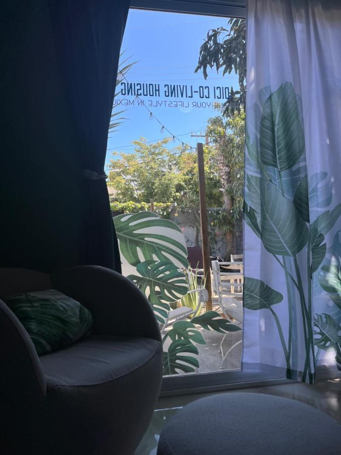 Bed and Breakfast Dici Co-Living Housing Cabo San Lucas Zewnętrze zdjęcie