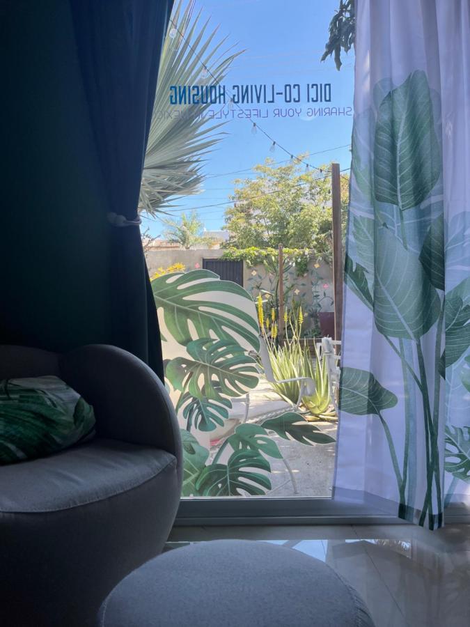 Bed and Breakfast Dici Co-Living Housing Cabo San Lucas Zewnętrze zdjęcie