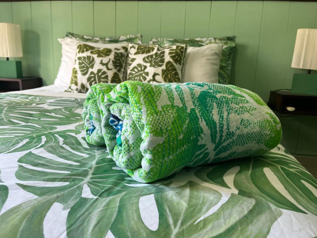 Bed and Breakfast Dici Co-Living Housing Cabo San Lucas Zewnętrze zdjęcie