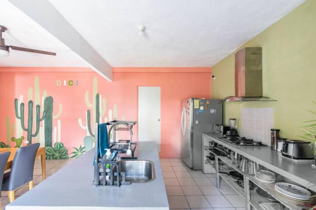 Bed and Breakfast Dici Co-Living Housing Cabo San Lucas Zewnętrze zdjęcie